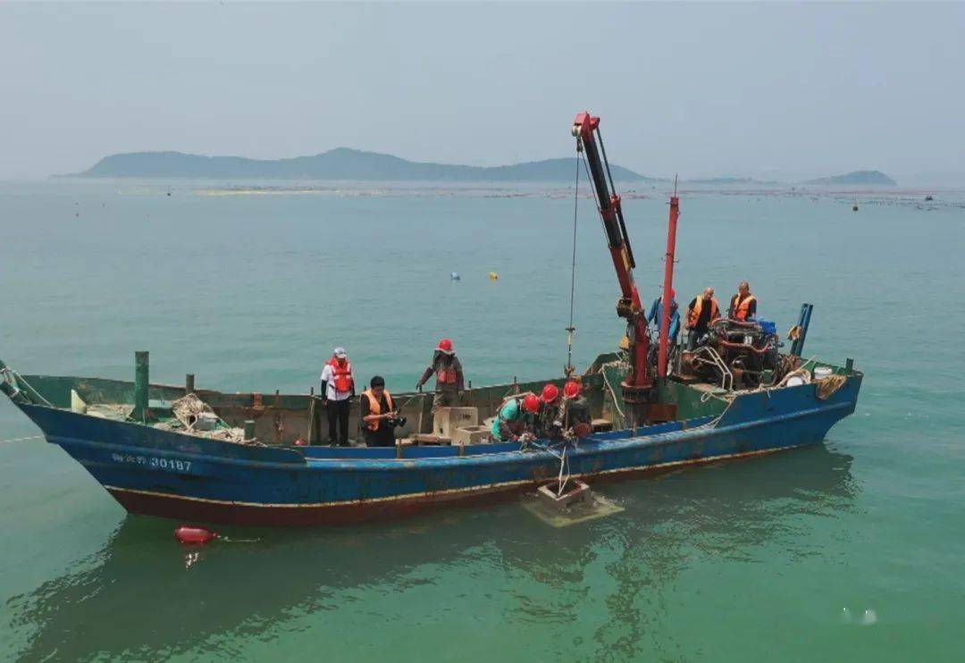 致富经海带喂猪_海带粉喂猪_海带喂猪有什么好处