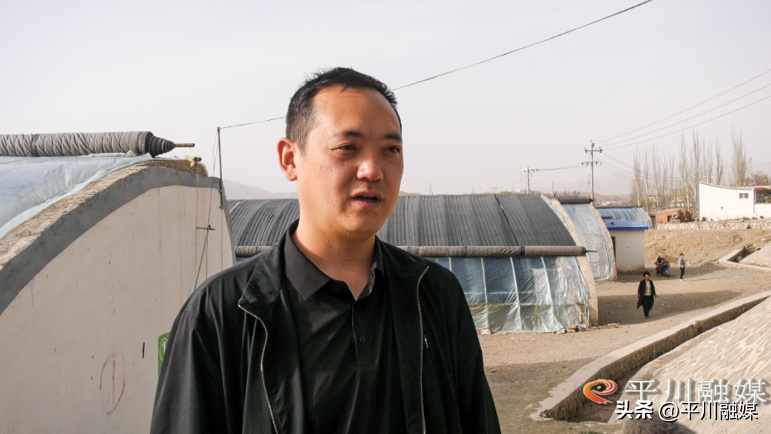 平川种子公司_致富种植平川项目有哪些_平川种植致富项目