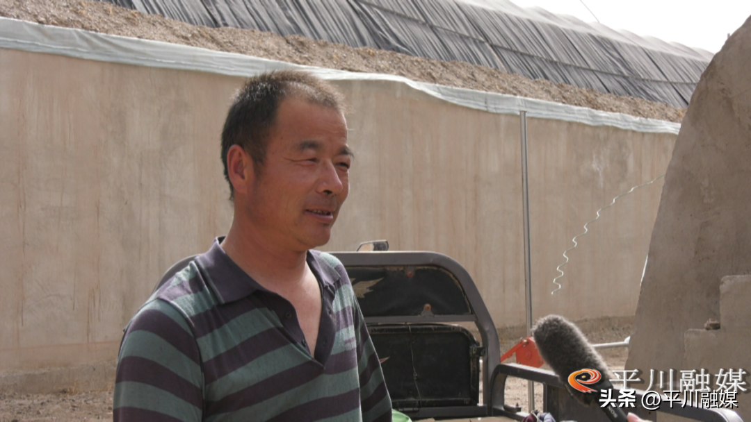 致富种植平川项目有哪些_平川种植致富项目_平川种子公司