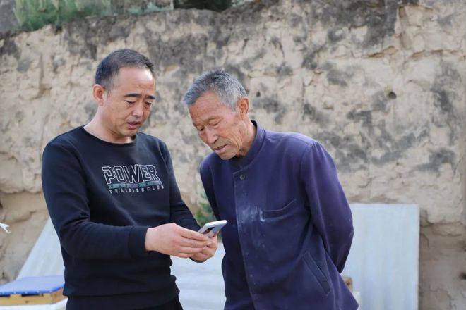 蜜蜂养殖效益_蜜蜂致富养殖视频_致富经养殖 蜜蜂
