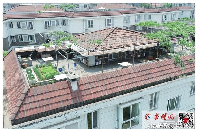 养殖蜜蜂致富视频_蜜蜂视频致富养殖_蜜蜂视频致富养殖网