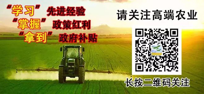 金正大种植致富_金正大农资_金正大产能