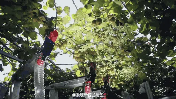 致富机械最小型挖勾机_致富无人放羊机视频_致富经无人机放羊