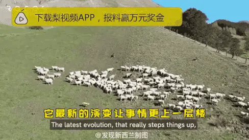 致富机械最小型挖勾机_致富无人放羊机视频_致富经无人机放羊