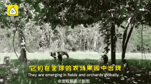 致富经无人机放羊_致富无人放羊机视频_致富机械最小型挖勾机