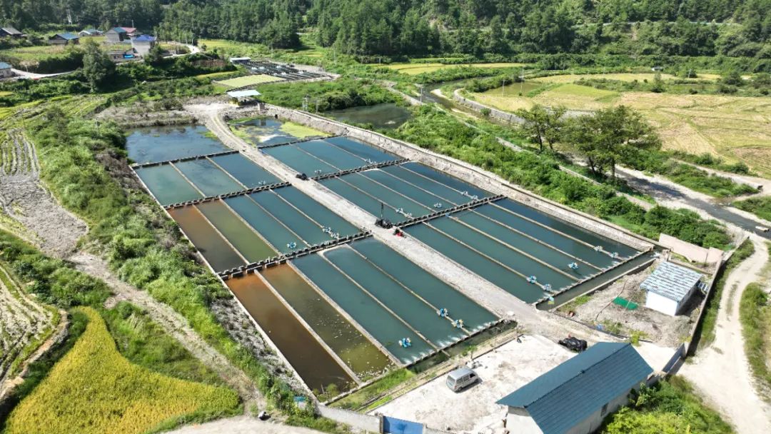 致富养殖信息_智能养殖致富新路_致富路上的特色养殖业