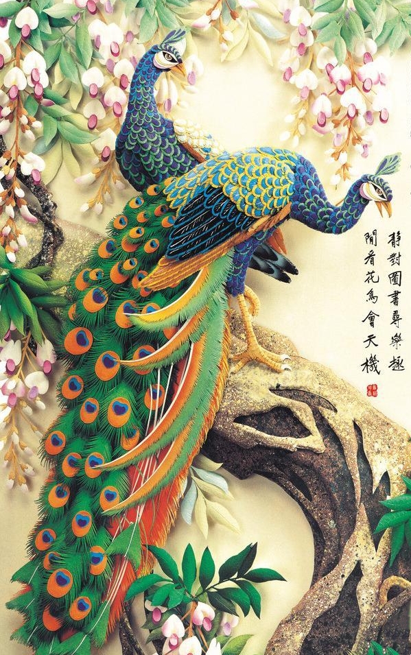 来自“孔雀大王”邓德的忠告：孔雀养殖忌浮躁！