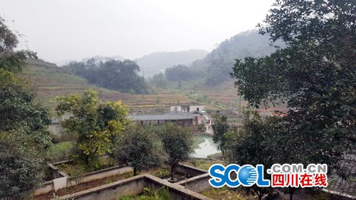 泥鳅养殖基地哪里有_致富养殖泥鳅基地地址_致富经泥鳅养殖基地