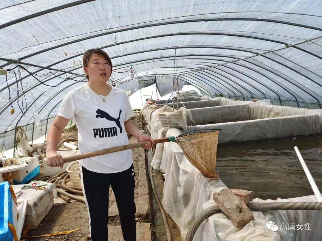 台湾农村养殖致富_2020农村养殖致富门路_台湾养殖业