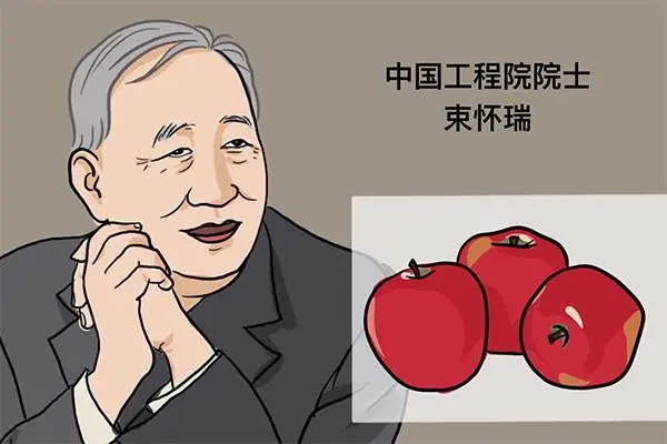 板栗树如何种植的五大技术要点_致富经板栗树种植高产技术_如何种板栗树