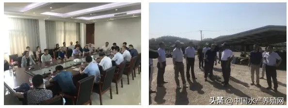 淡水水产养殖什么好_淡水水产养殖技术工_淡水养殖专业