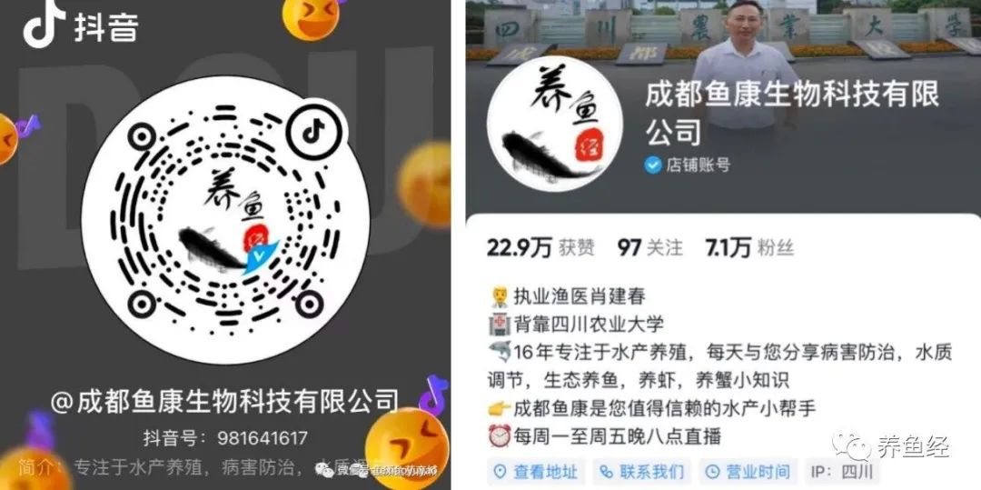 养殖鱼种技术翘嘴视频_翘嘴鱼种养殖技术_怎样养殖翘嘴鱼