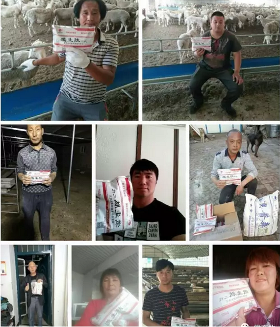 致富养殖羊技术培训_致富经羊养殖技术_养羊致富经