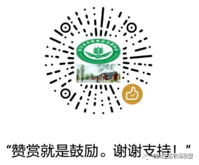 致富经昆虫养殖_养殖虫子致富案例_致富养殖视频