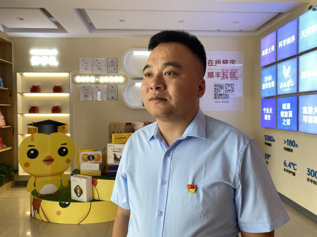 养鸡致富项目_宠物鸡养殖致富_养鸡宠物