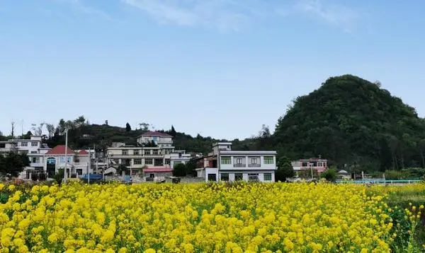 青山村闯出三条生“金”之路