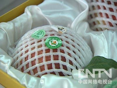 视频致富种植杜仲是真是假_种植杜仲致富经视频_视频致富种植杜仲是真的吗