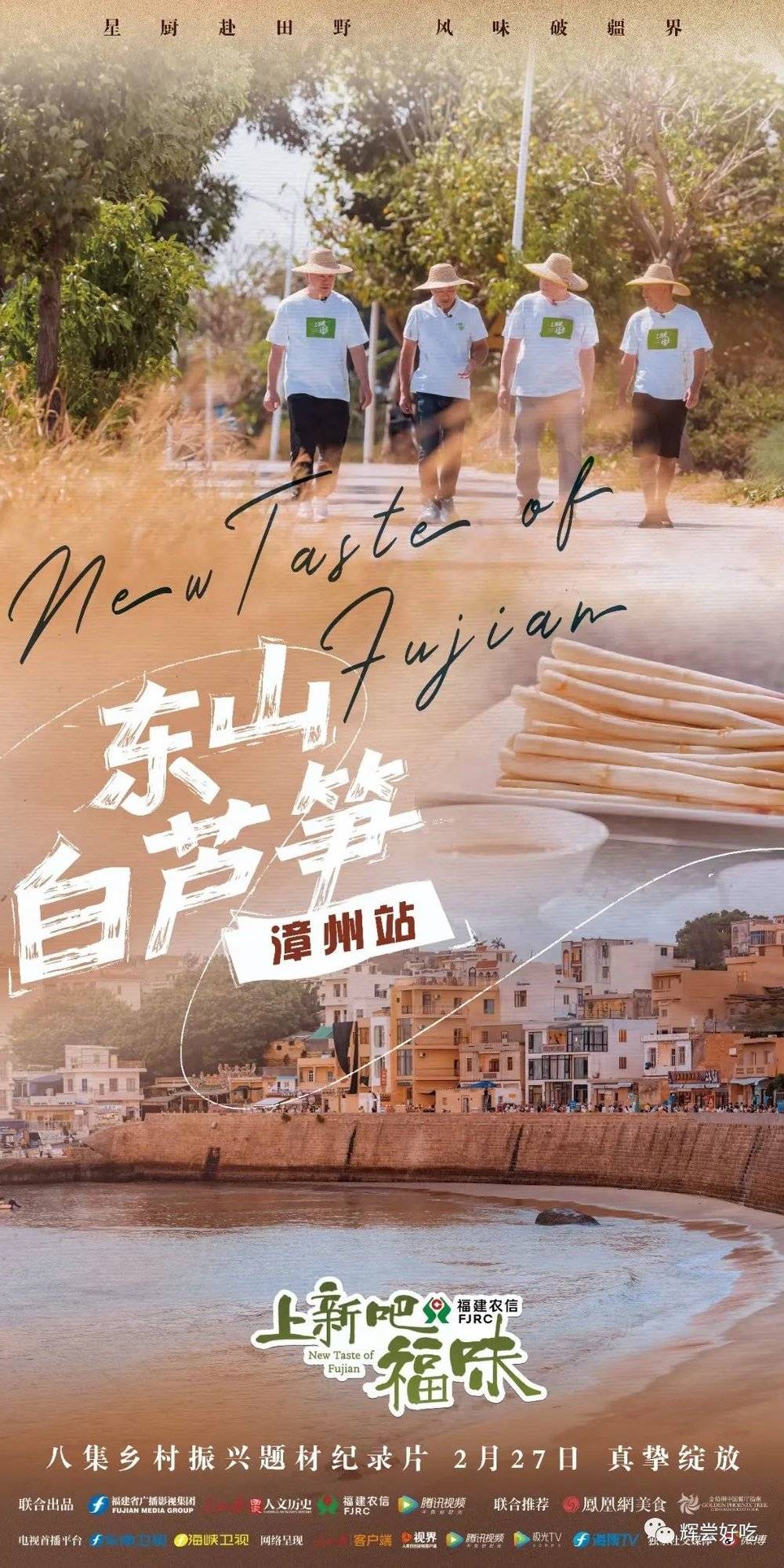 白芦笋种植致富_白芦笋种植_致富种植芦笋白菜图片