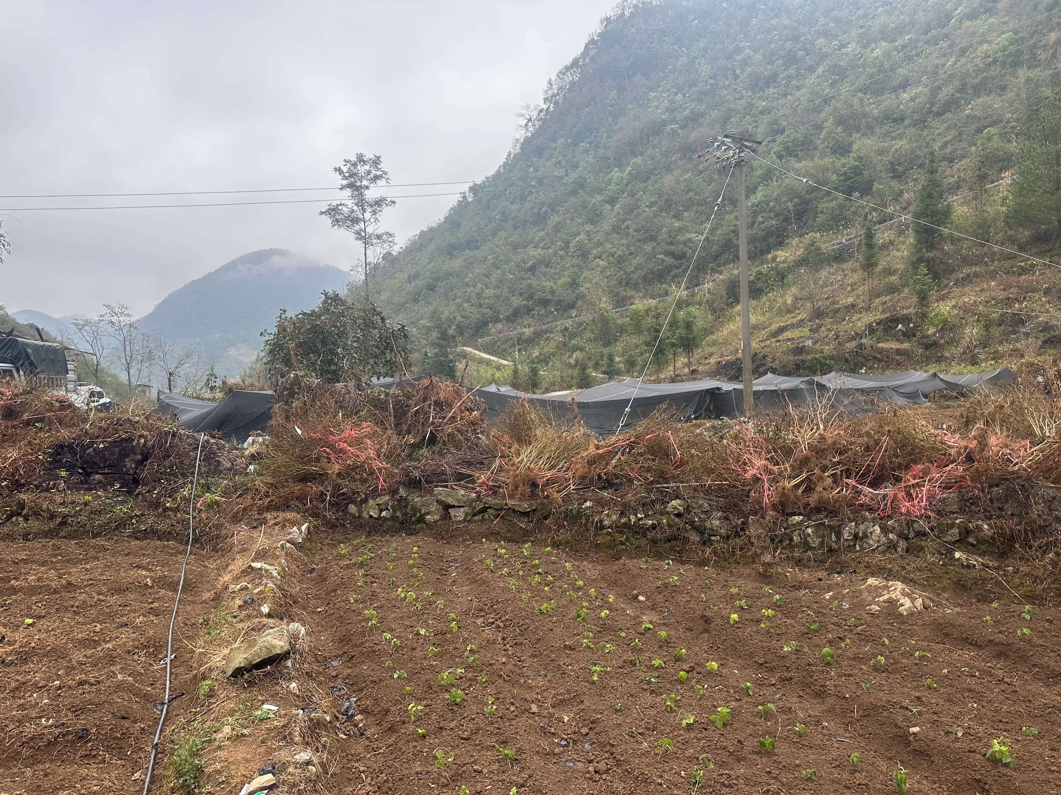 致富种植农业概念是什么_农业种植致富概念_致富种植农业概念界定