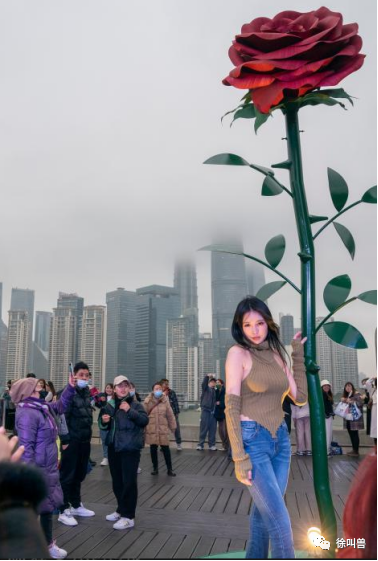 情人节，垃圾筒里的致富经