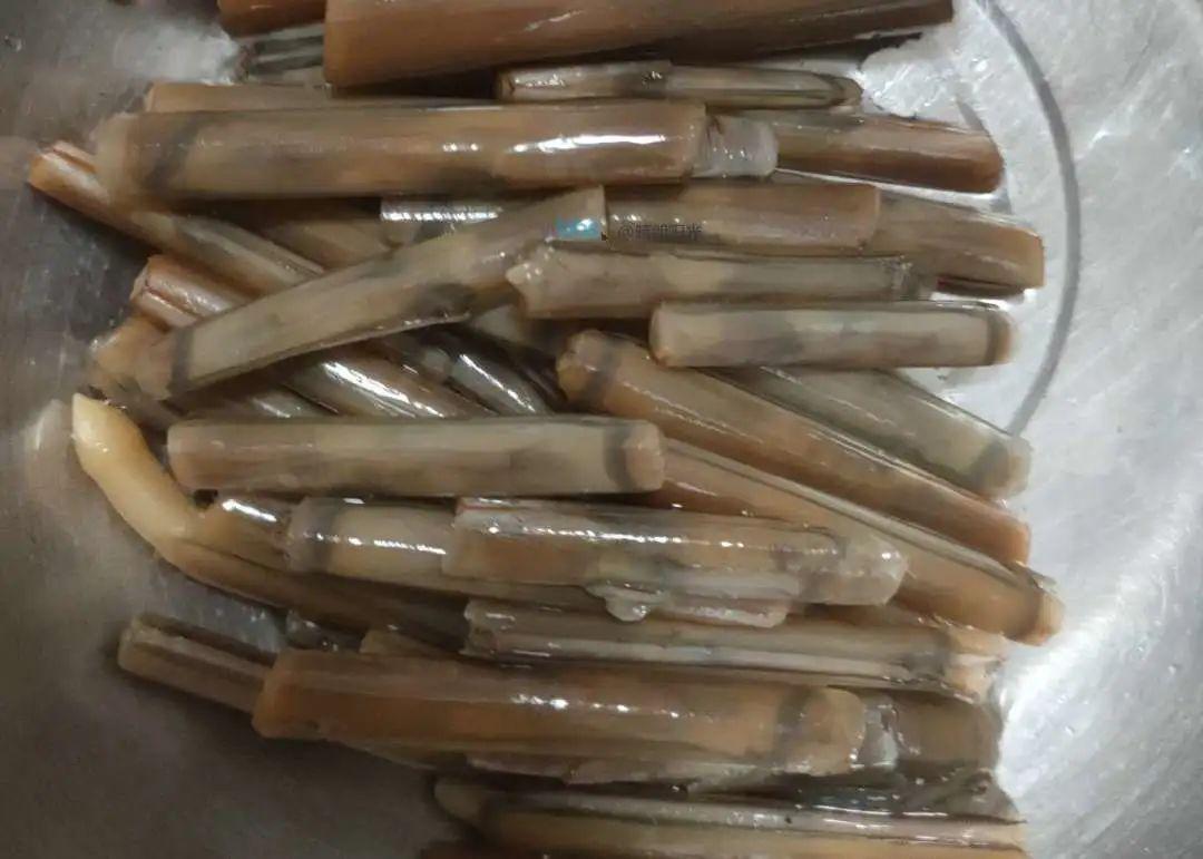养殖蝼蛄赚钱吗_蝼蛄养殖视频 致富经_视频致富养殖蝼蛄是真是假