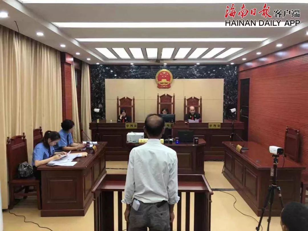 苗种植槟榔技术要点_槟榔苗如何种植技术_苗种植槟榔技术要求