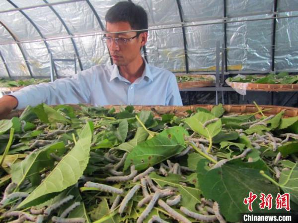 李天柱被评为第七届“全国农村青年致富带头人”。受访者供图