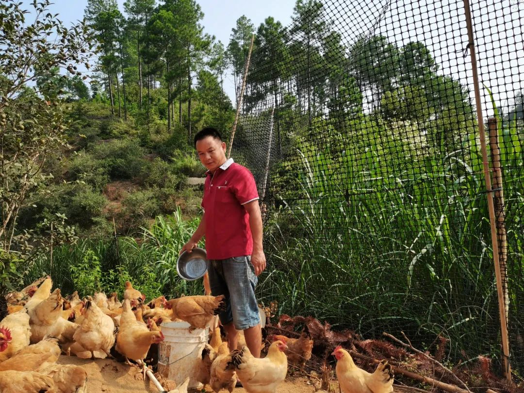 致富养猪场下载_致富经养殖下载_致富养殖下载app