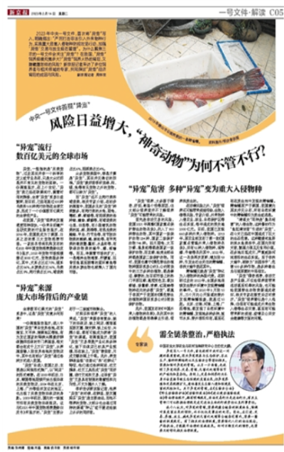 中央一号文件首提“异宠” 风险日益增大，“神奇动物”为何不管不行？