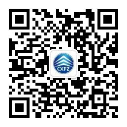 苗种植槟榔技术视频_苗种植槟榔技术要求_槟榔苗如何种植技术