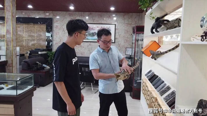 绵阳鳄鱼养殖温室大棚致富_北方温室大棚养殖鳄鱼_鳄鱼大棚养殖场