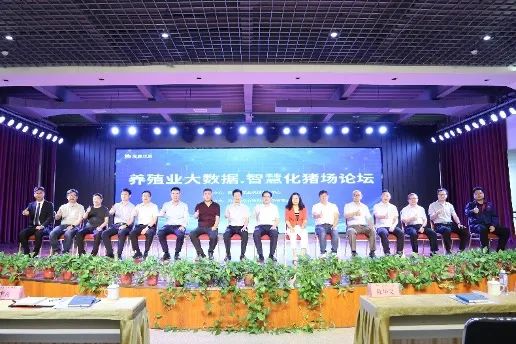 致富养殖信息_智慧养殖致富方案_致富养殖智慧方案怎么写