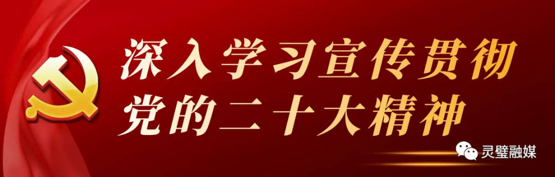 90后退伍军人张志强：退伍不褪色 返乡养鹌鹑 趟出致富路