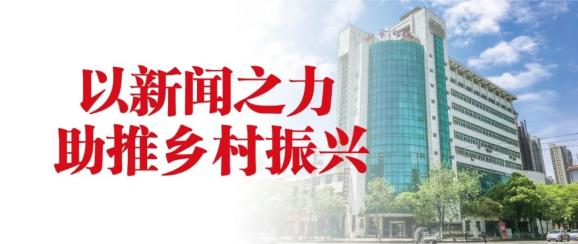 新余市黄鳝养殖致富项目_黄鳝养殖基地大全_黄鳝养殖前景与利润