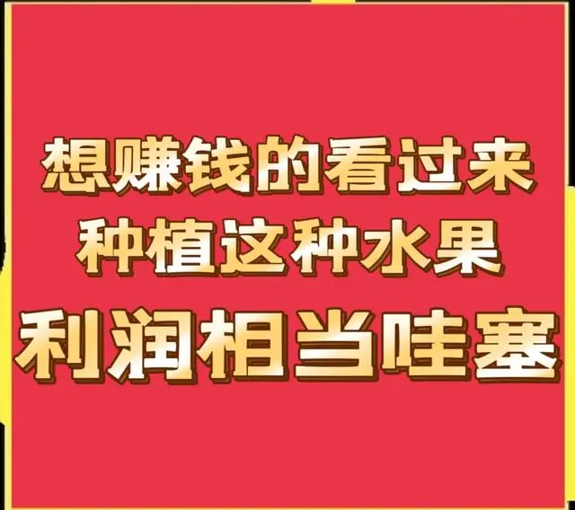 想赚钱的看过来，这种水果口感极好、种植简单、收益相当哇塞！