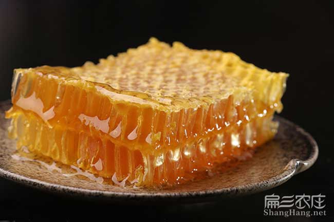 崇左蜂巢蜜批发