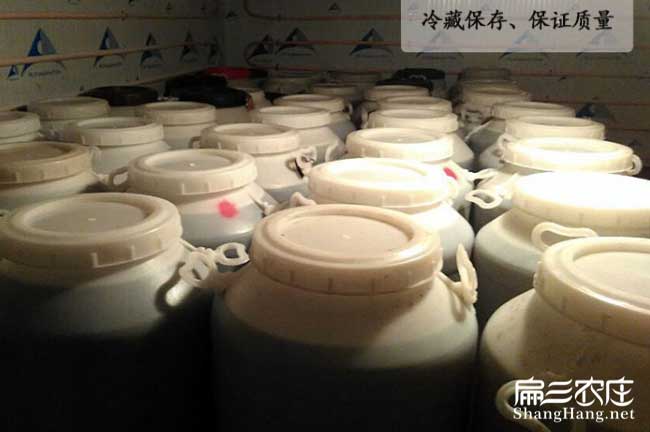 邕宁蜂巢蜜批发