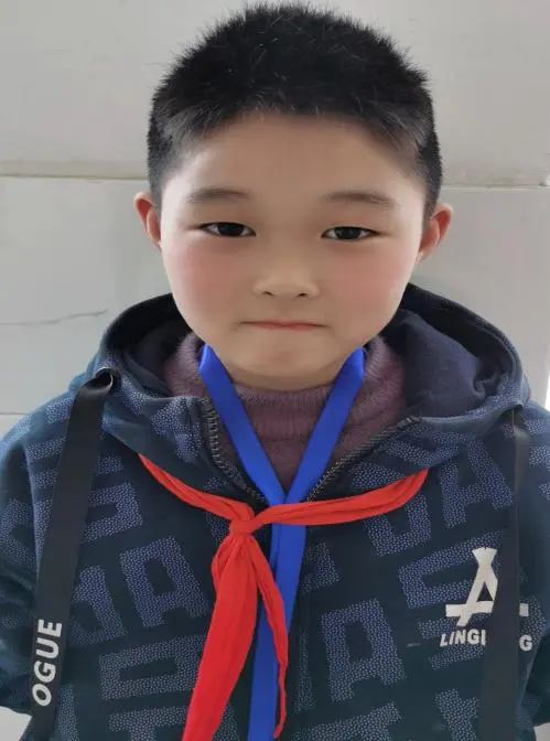 优秀教师网课经验分享_网络课程分享_优质网课分享经验