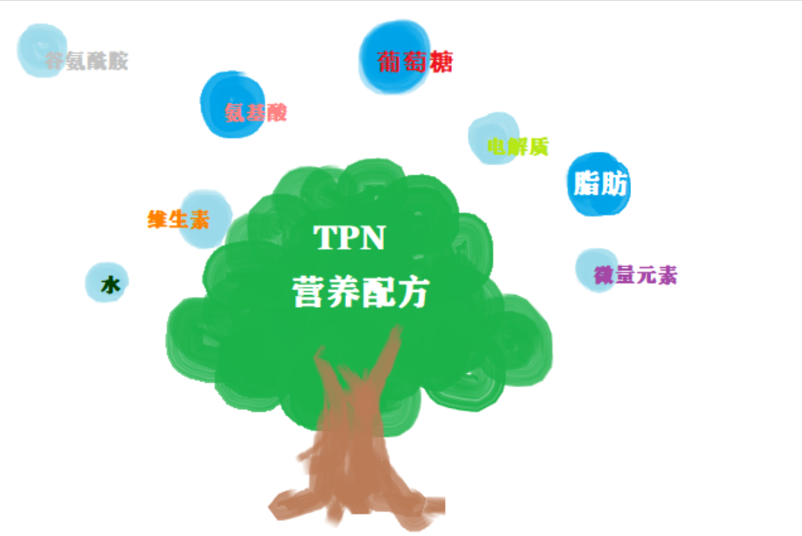 蛋鸡养殖技术要点_蛋鸡养殖技术注意_蛋鸡养殖注意事项