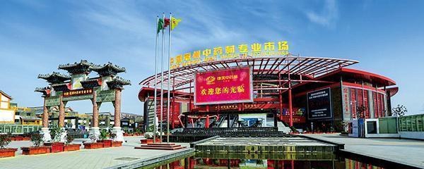 安国射干种植致富_安国射干种植致富_安国射干种植致富