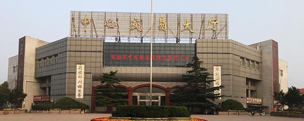安国射干种植致富_安国射干种植致富_安国射干种植致富