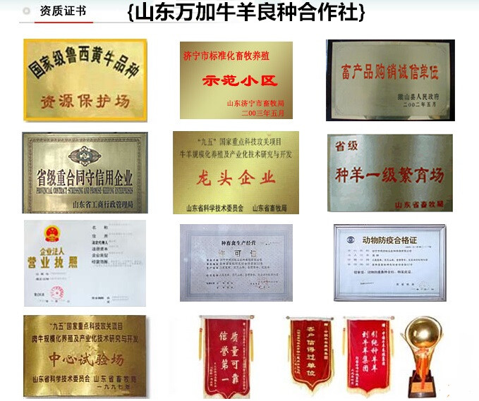 中央7台致富经是不是托_中央台致富经联系方式_中央致富经是真的假的