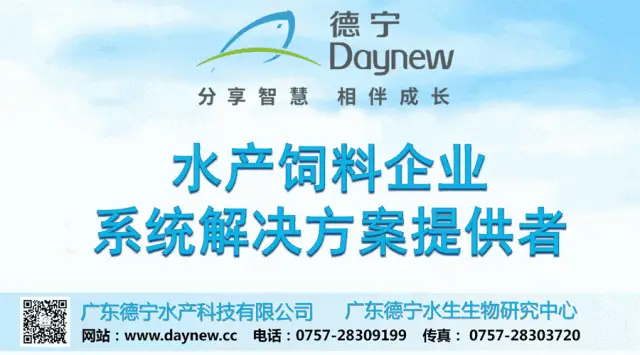 白虾这条虾很可爱！海大集团副总裁江谢武6000字讲透种虾、育苗和养殖