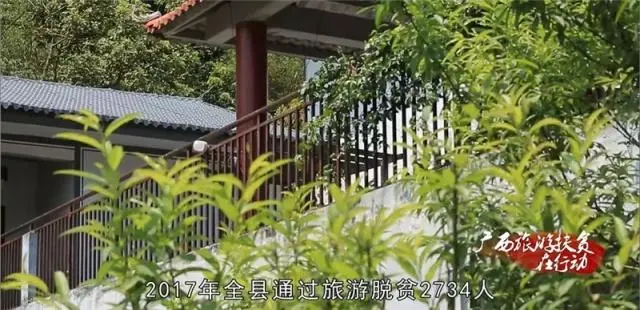 山银花亩产量_种植山银花致富_山银花种植技术