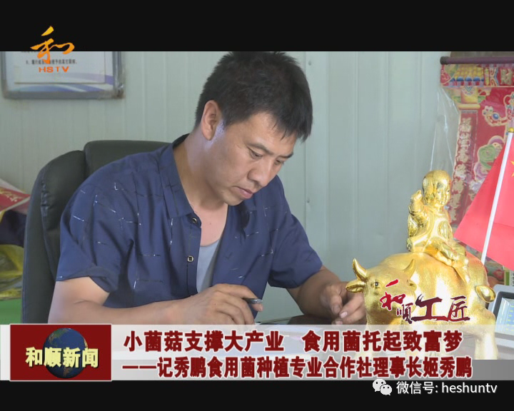 食用菌养殖投资与收益_养殖食用菌赚钱吗_食用菌养殖致富