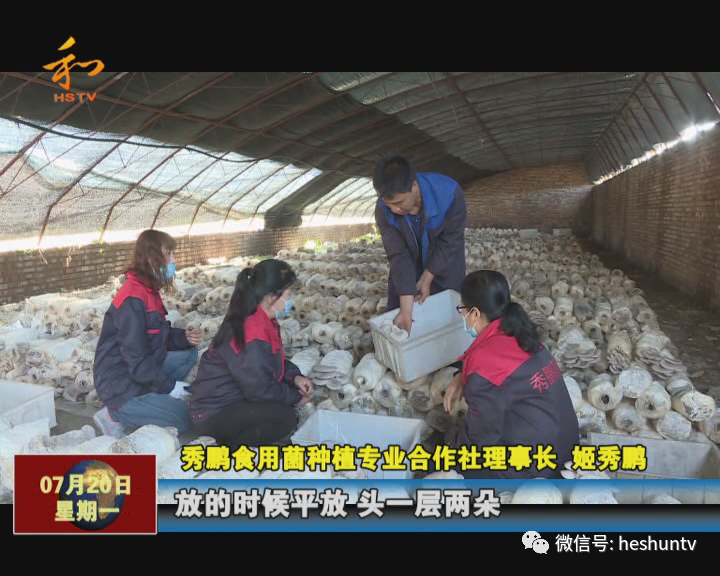 养殖食用菌赚钱吗_食用菌养殖投资与收益_食用菌养殖致富