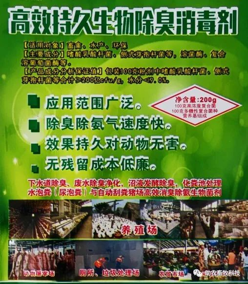 肉狗养殖专业技术_养殖业肉狗效率咋样_专业养肉狗的风险与利润