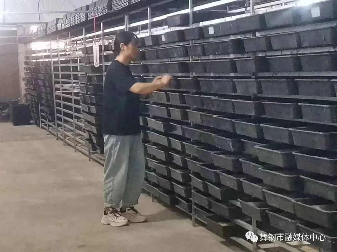 养殖致富小知识_致富养殖知识小视频_致富养殖知识小视频大全
