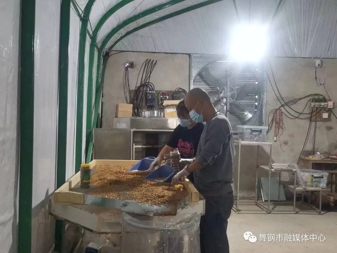 养殖致富小知识_致富养殖知识小视频大全_致富养殖知识小视频