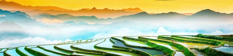 这个乡靠养殖黑山羊，迈上致富路→